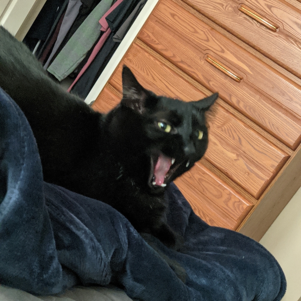 Meet your Posher, Sara